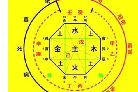 八字忌土|忌土的人要注意什么,八字中忌土的人怎么办